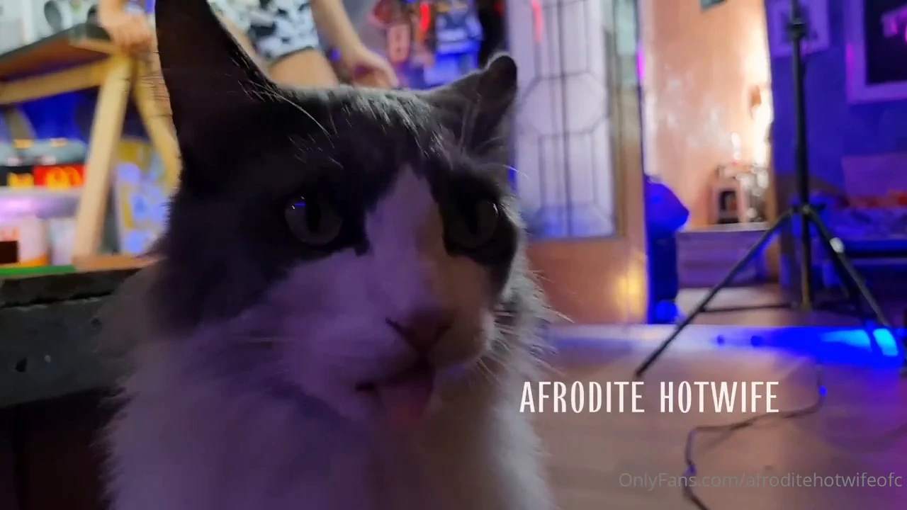 Afrodite Hotwife em uma sessão super sexy!