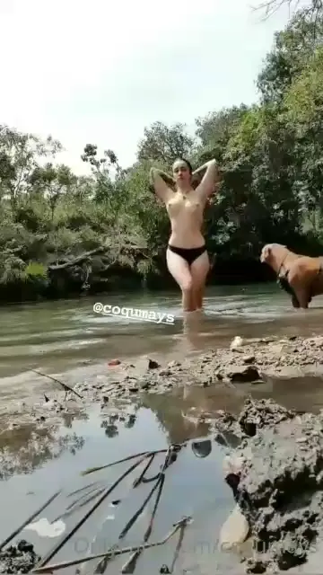 Cogumelos sem sutiã se refrescando no lago Cogumelos sem sutiã se refrescando no lago