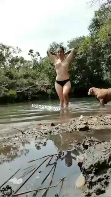 Cogumelos sem sutiã se refrescando no lago Cogumelos sem sutiã se refrescando no lago