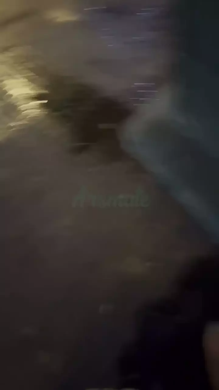 Julieta Yanez na pegada intensa, aproveitando ao máximo Julieta Yanez na pegada intensa, aproveitando ao máximo