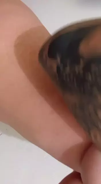 Maria Caroline, uma morena cheia de atitude, com um corpo todo tatuado, dando um show de dança Maria Caroline, uma morena cheia de atitude, com um corpo todo tatuado, dando um show de dança